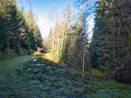 20220205202144-b8442a95